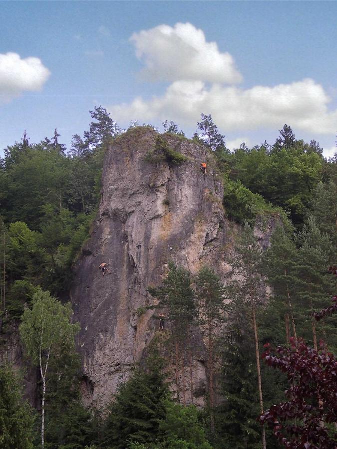 Cafe Pension Krems Вайшенфельд Экстерьер фото