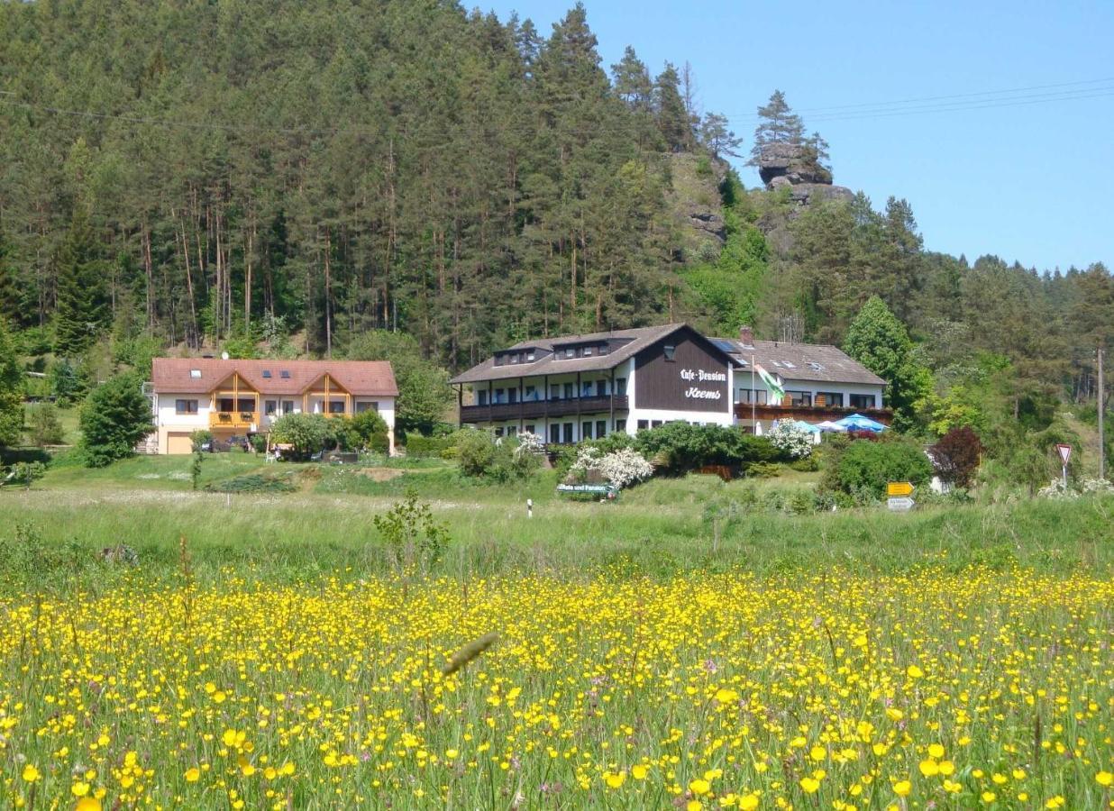 Cafe Pension Krems Вайшенфельд Экстерьер фото
